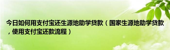 今日如何用支付宝还生源地助学贷款（国家生源地助学贷款，使用支付宝还款流程）