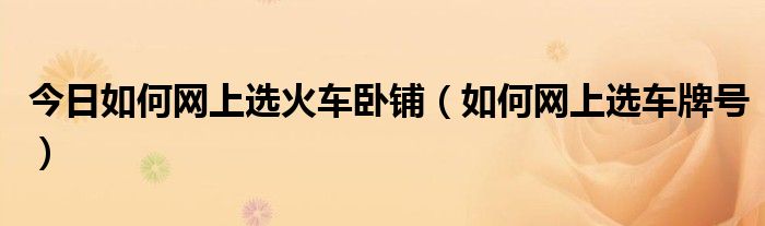 今日如何网上选火车卧铺（如何网上选车牌号）