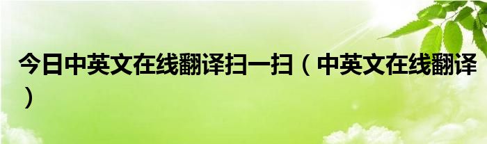 今日中英文在线翻译扫一扫（中英文在线翻译）