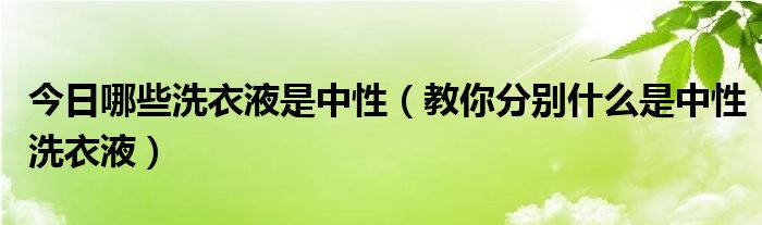 今日哪些洗衣液是中性（教你分别什么是中性洗衣液）