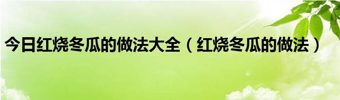 今日红烧冬瓜的做法大全（红烧冬瓜的做法）