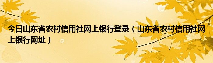 今日山东省农村信用社网上银行登录（山东省农村信用社网上银行网址）