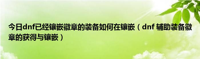 今日dnf已经镶嵌徽章的装备如何在镶嵌（dnf 辅助装备徽章的获得与镶嵌）