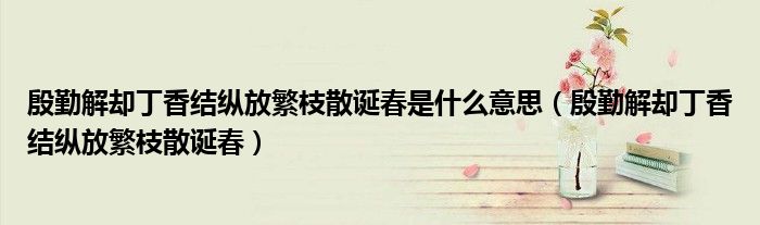 殷勤解却丁香结纵放繁枝散诞春是什么意思（殷勤解却丁香结纵放繁枝散诞春）