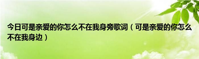 今日可是亲爱的你怎么不在我身旁歌词（可是亲爱的你怎么不在我身边）