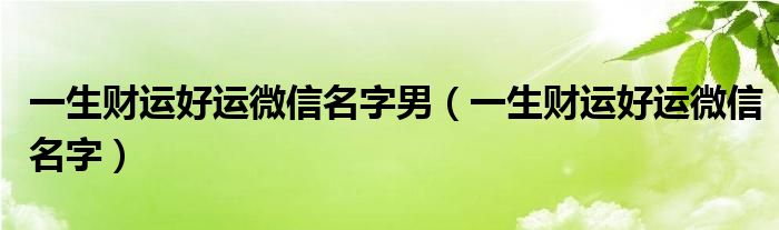 一生财运好运微信名字男（一生财运好运微信名字）