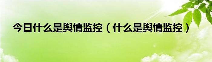 今日什么是舆情监控（什么是舆情监控）