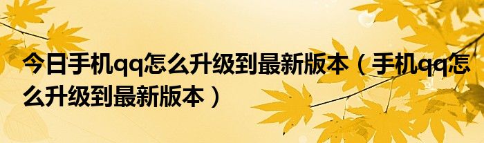 今日手机qq怎么升级到最新版本（手机qq怎么升级到最新版本）