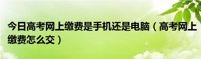 今日高考网上缴费是手机还是电脑（高考网上缴费怎么交）