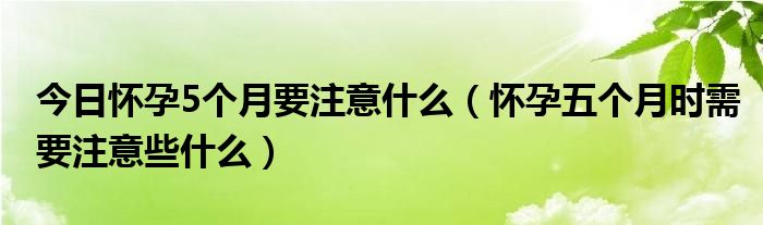 今日怀孕5个月要注意什么（怀孕五个月时需要注意些什么）