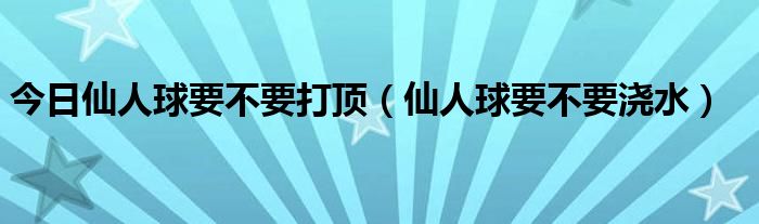 今日仙人球要不要打顶（仙人球要不要浇水）