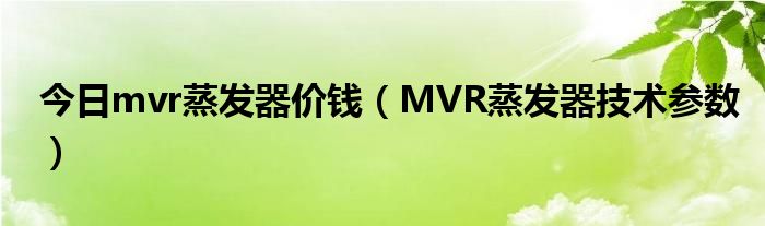 今日mvr蒸发器价钱（MVR蒸发器技术参数）