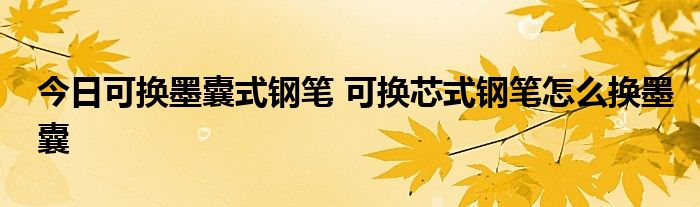 今日可换墨囊式钢笔 可换芯式钢笔怎么换墨囊