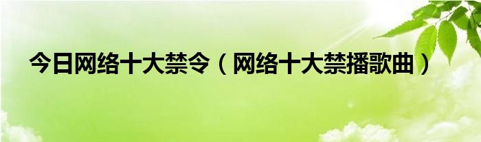 今日网络十大禁令（网络十大禁播歌曲）