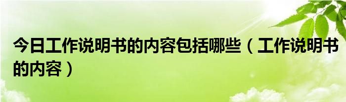 今日工作说明书的内容包括哪些（工作说明书的内容）