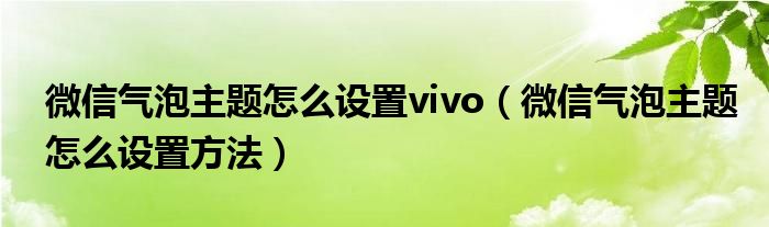 微信气泡主题怎么设置vivo（微信气泡主题怎么设置方法）