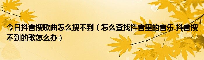 今日抖音搜歌曲怎么搜不到（怎么查找抖音里的音乐 抖音搜不到的歌怎么办）