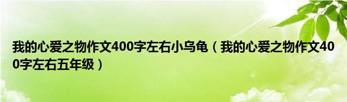 我的心爱之物作文400字左右小乌龟（我的心爱之物作文400字左右五年级）