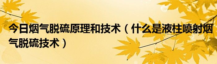 今日烟气脱硫原理和技术（什么是液柱喷射烟气脱硫技术）