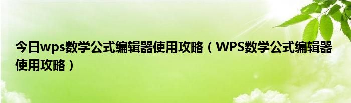 今日wps数学公式编辑器使用攻略（WPS数学公式编辑器 使用攻略）