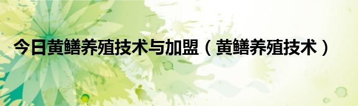 今日黄鳝养殖技术与加盟（黄鳝养殖技术）