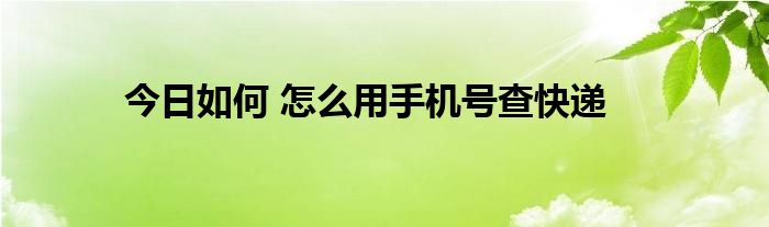 今日如何 怎么用手机号查快递