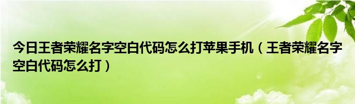 今日王者荣耀名字空白代码怎么打苹果手机（王者荣耀名字空白代码怎么打）