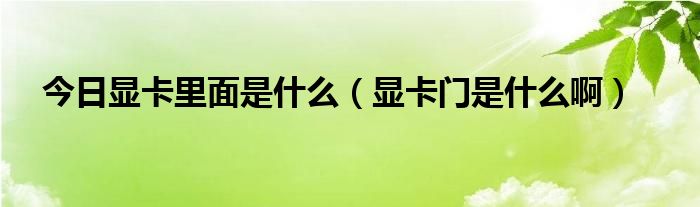 今日显卡里面是什么（显卡门是什么啊）