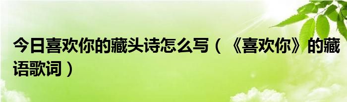 今日喜欢你的藏头诗怎么写（《喜欢你》的藏语歌词）