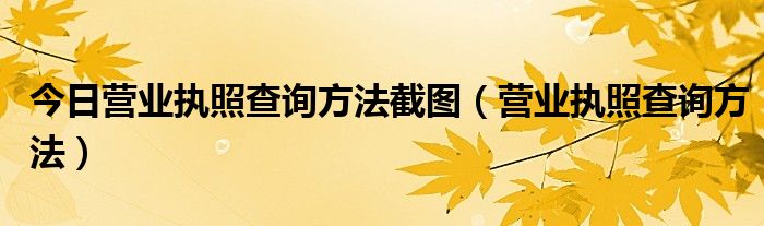 今日营业执照查询方法截图（营业执照查询方法）