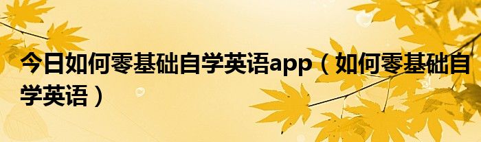 今日如何零基础自学英语app（如何零基础自学英语）