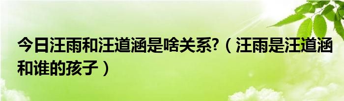 今日汪雨和汪道涵是啥关系?（汪雨是汪道涵和谁的孩子）