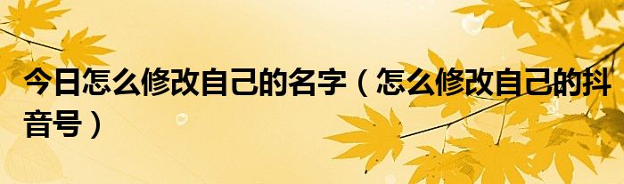 今日怎么修改自己的名字（怎么修改自己的抖音号）