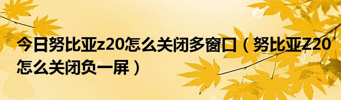 今日努比亚z20怎么关闭多窗口（努比亚Z20怎么关闭负一屏）