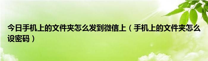 今日手机上的文件夹怎么发到微信上（手机上的文件夹怎么设密码）