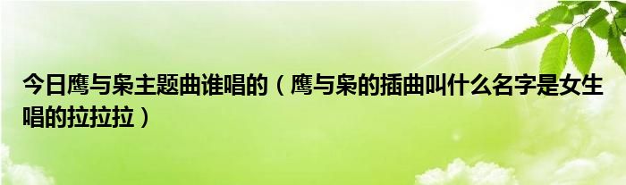 今日鹰与枭主题曲谁唱的（鹰与枭的插曲叫什么名字是女生唱的拉拉拉）