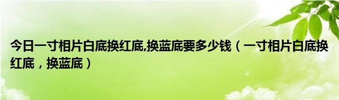 今日一寸相片白底换红底,换蓝底要多少钱（一寸相片白底换红底，换蓝底）