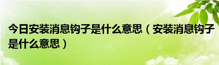 今日安装消息钩子是什么意思（安装消息钩子是什么意思）