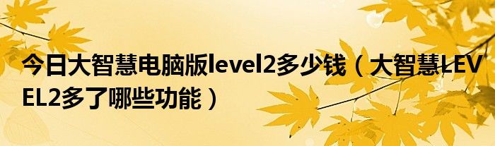 今日大智慧电脑版level2多少钱（大智慧LEVEL2多了哪些功能）