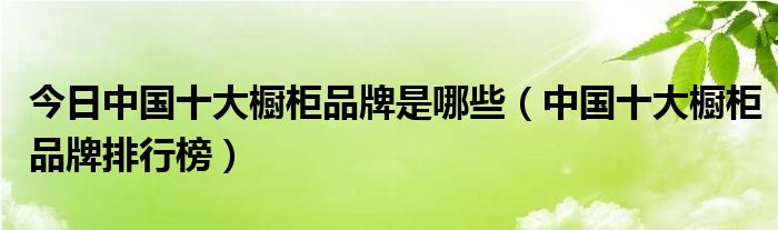 今日中国十大橱柜品牌是哪些（中国十大橱柜品牌排行榜）