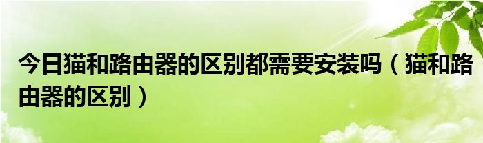 今日猫和路由器的区别都需要安装吗（猫和路由器的区别）