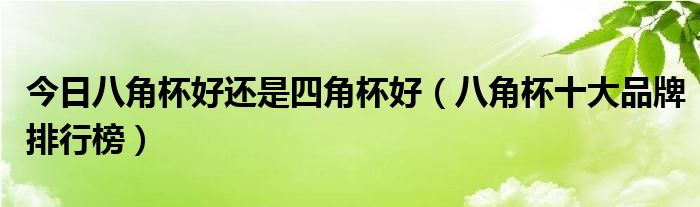 今日八角杯好还是四角杯好（八角杯十大品牌排行榜）