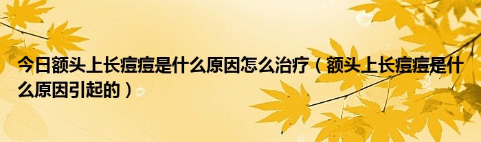 今日额头上长痘痘是什么原因怎么治疗（额头上长痘痘是什么原因引起的）