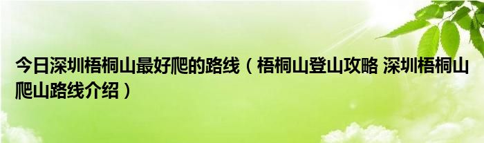 今日深圳梧桐山最好爬的路线（梧桐山登山攻略 深圳梧桐山爬山路线介绍）