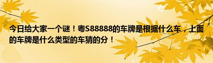 今日给大家一个谜！粤S88888的车牌是根据什么车，上面的车牌是什么类型的车猜的分！