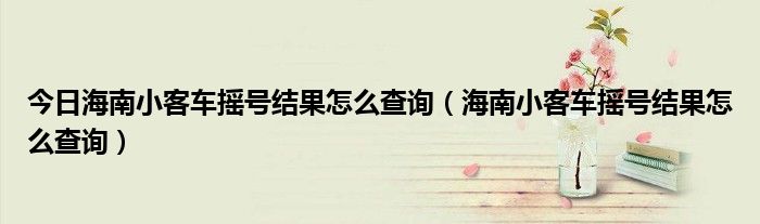 今日海南小客车摇号结果怎么查询（海南小客车摇号结果怎么查询）