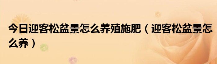 今日迎客松盆景怎么养殖施肥（迎客松盆景怎么养）