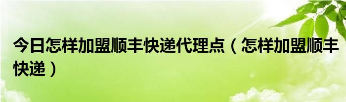 今日怎样加盟顺丰快递代理点（怎样加盟顺丰快递）