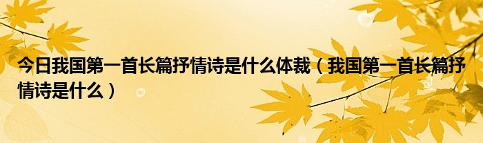 今日我国第一首长篇抒情诗是什么体裁（我国第一首长篇抒情诗是什么）