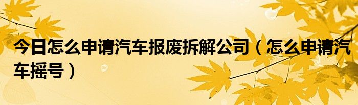 今日怎么申请汽车报废拆解公司（怎么申请汽车摇号）